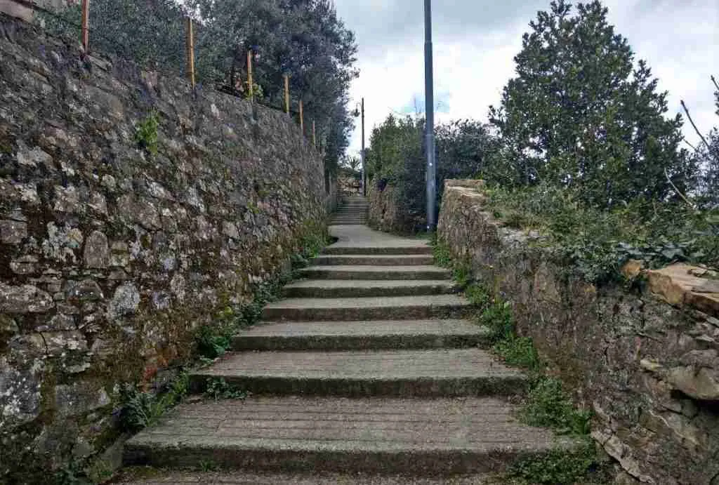 Trail consisting of 900 steps