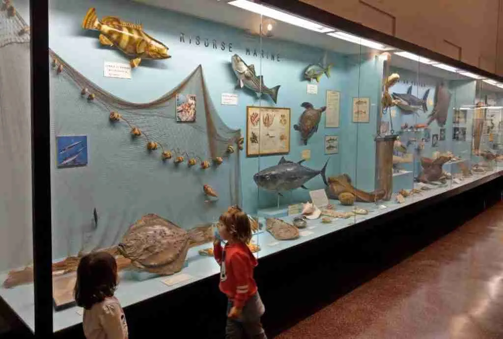 museo di storia naturale genova giacomo doria