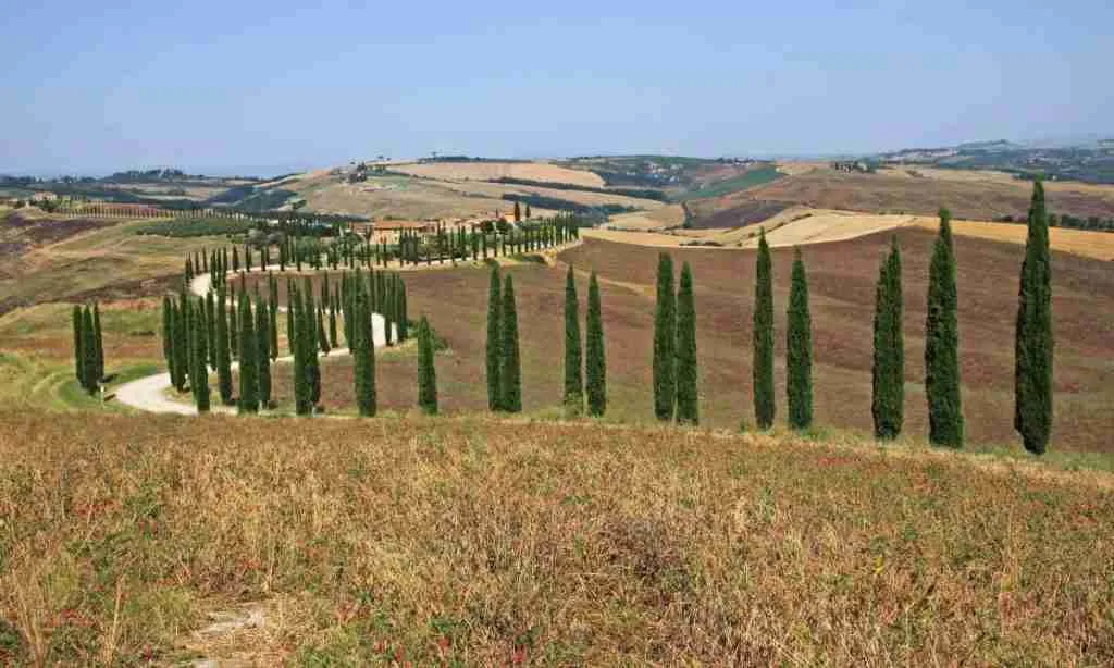 val d'orcia cosa vedere