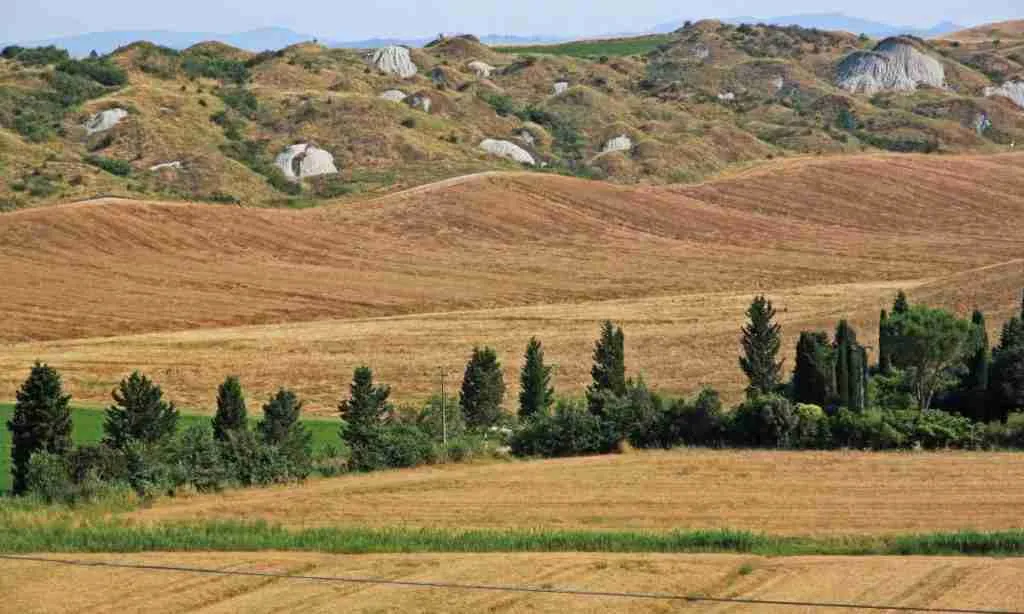 crete and fields